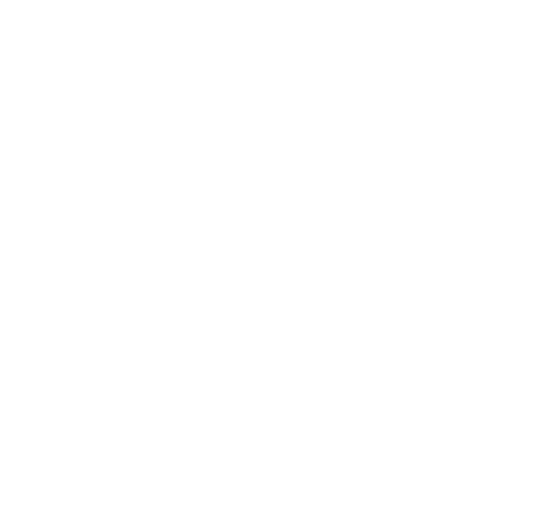 Eagles Updated Square Logo White
