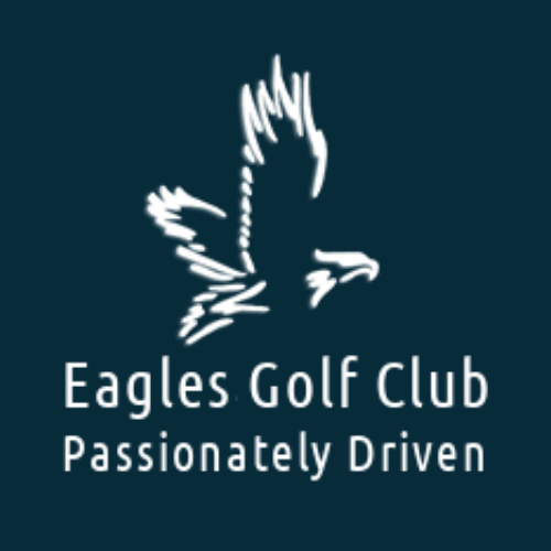 Eagles Logo Blue Background