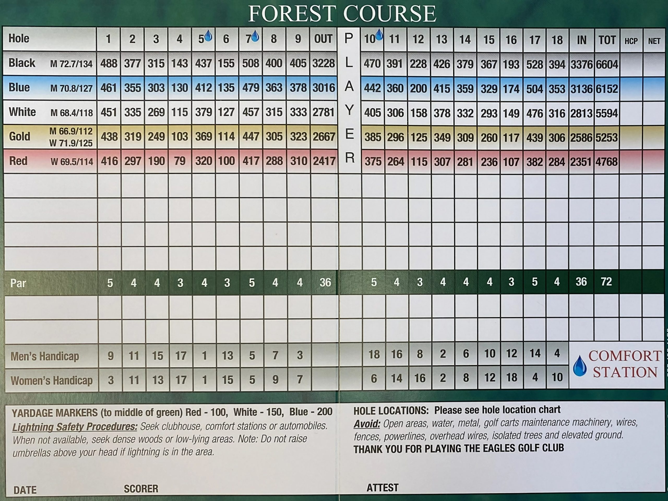 Forest Course Scorecard